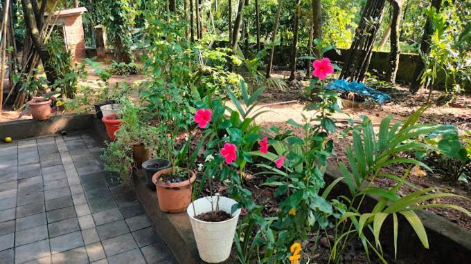 Sneh Beach Homestay - Wayangani Vengurla 외부 사진