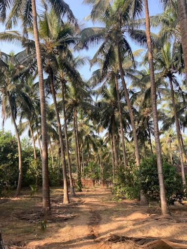 Sneh Beach Homestay - Wayangani Vengurla 외부 사진
